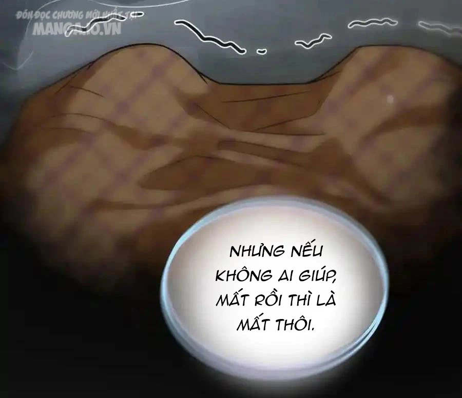 Bà Xã Nhà Tôi Đến Từ Ngàn Năm Trước Chapter 278 - Trang 2