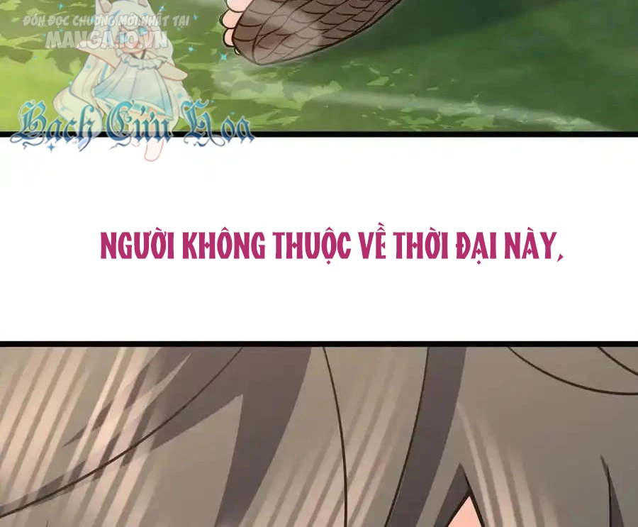 Bà Xã Nhà Tôi Đến Từ Ngàn Năm Trước Chapter 279 - Trang 2