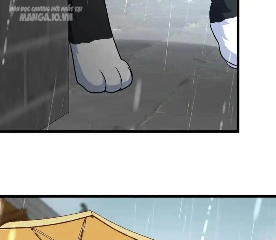 Bà Xã Nhà Tôi Đến Từ Ngàn Năm Trước Chapter 283 - Trang 2