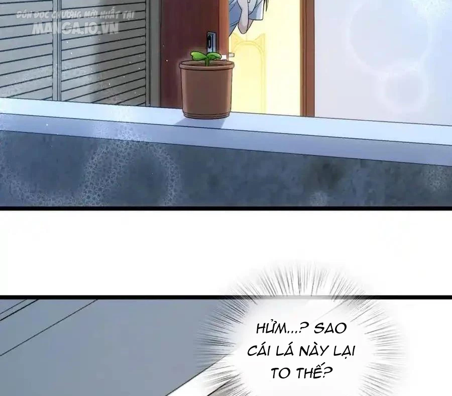 Bà Xã Nhà Tôi Đến Từ Ngàn Năm Trước Chapter 283 - Trang 2