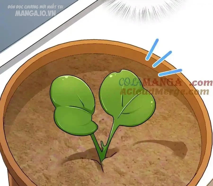 Bà Xã Nhà Tôi Đến Từ Ngàn Năm Trước Chapter 283 - Trang 2