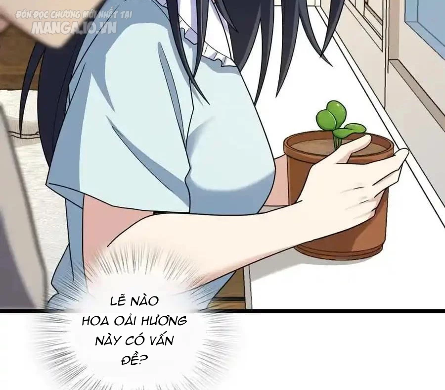 Bà Xã Nhà Tôi Đến Từ Ngàn Năm Trước Chapter 283 - Trang 2