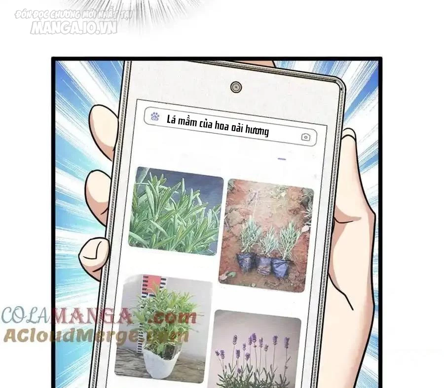 Bà Xã Nhà Tôi Đến Từ Ngàn Năm Trước Chapter 283 - Trang 2