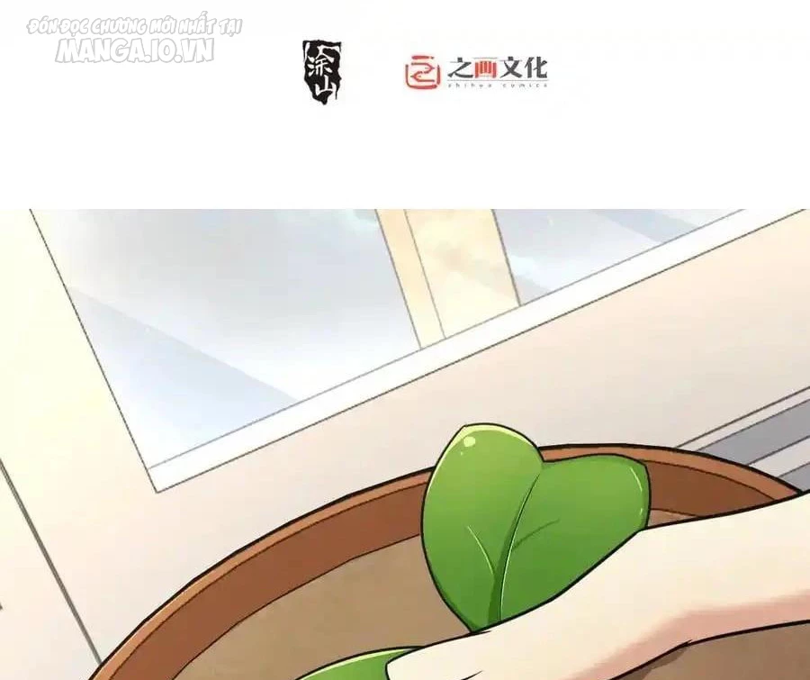 Bà Xã Nhà Tôi Đến Từ Ngàn Năm Trước Chapter 284 - Trang 2