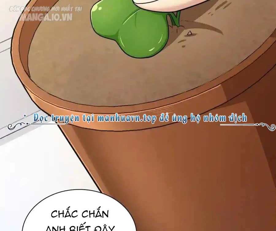 Bà Xã Nhà Tôi Đến Từ Ngàn Năm Trước Chapter 284 - Trang 2