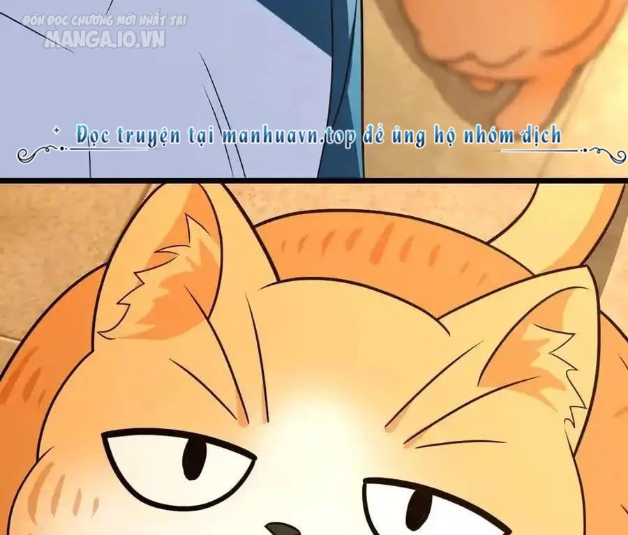 Bà Xã Nhà Tôi Đến Từ Ngàn Năm Trước Chapter 284 - Trang 2