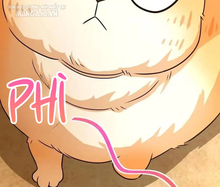 Bà Xã Nhà Tôi Đến Từ Ngàn Năm Trước Chapter 284 - Trang 2