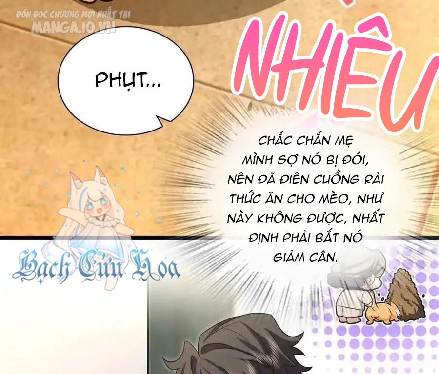 Bà Xã Nhà Tôi Đến Từ Ngàn Năm Trước Chapter 284 - Trang 2