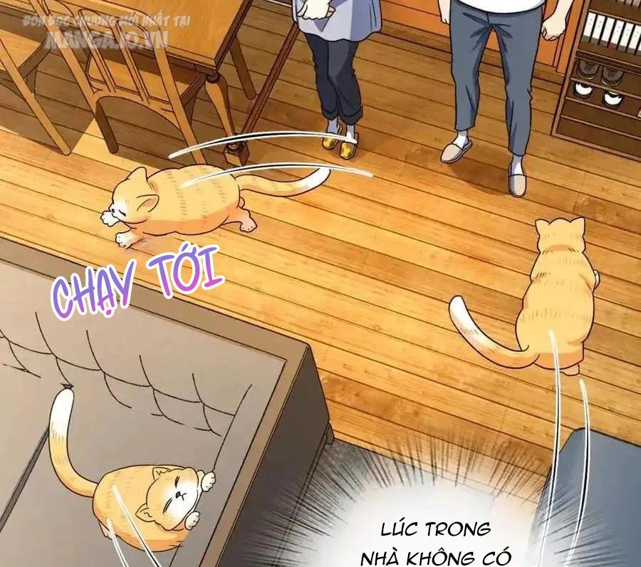 Bà Xã Nhà Tôi Đến Từ Ngàn Năm Trước Chapter 284 - Trang 2