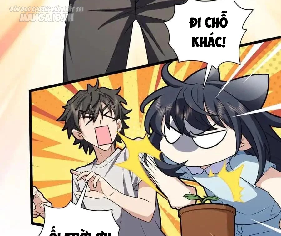 Bà Xã Nhà Tôi Đến Từ Ngàn Năm Trước Chapter 284 - Trang 2