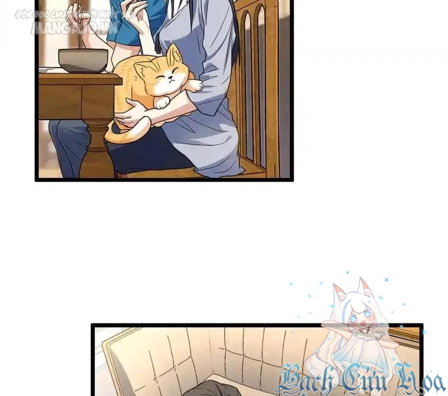 Bà Xã Nhà Tôi Đến Từ Ngàn Năm Trước Chapter 284 - Trang 2