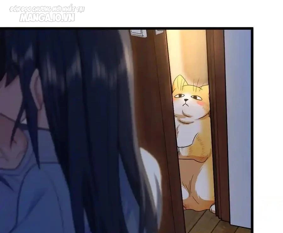 Bà Xã Nhà Tôi Đến Từ Ngàn Năm Trước Chapter 284 - Trang 2