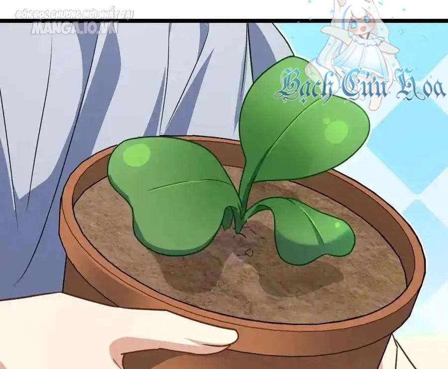 Bà Xã Nhà Tôi Đến Từ Ngàn Năm Trước Chapter 284 - Trang 2