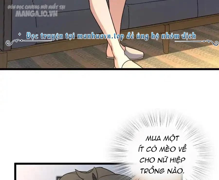 Bà Xã Nhà Tôi Đến Từ Ngàn Năm Trước Chapter 284 - Trang 2