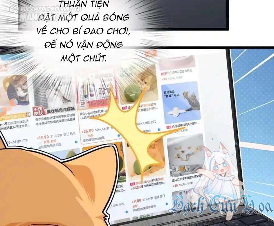 Bà Xã Nhà Tôi Đến Từ Ngàn Năm Trước Chapter 284 - Trang 2