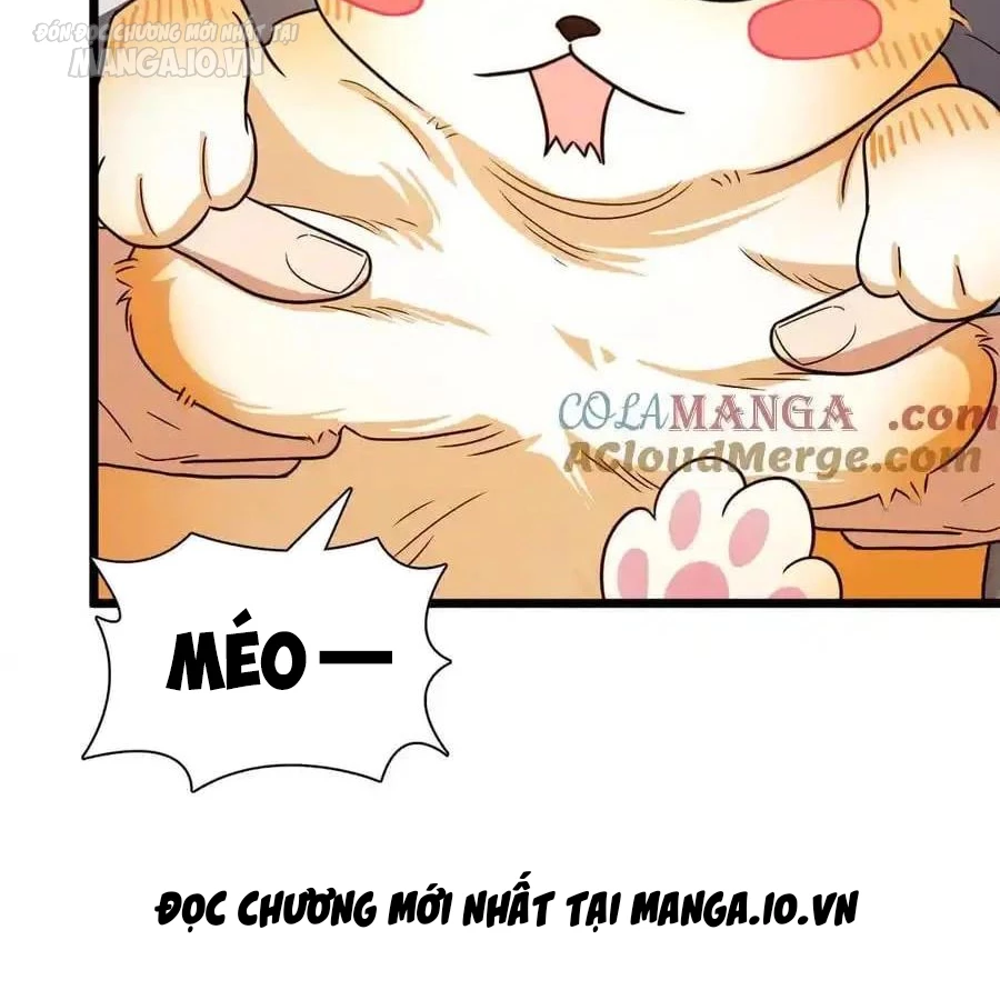 Bà Xã Nhà Tôi Đến Từ Ngàn Năm Trước Chapter 284 - Trang 2