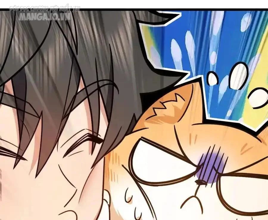 Bà Xã Nhà Tôi Đến Từ Ngàn Năm Trước Chapter 284 - Trang 2