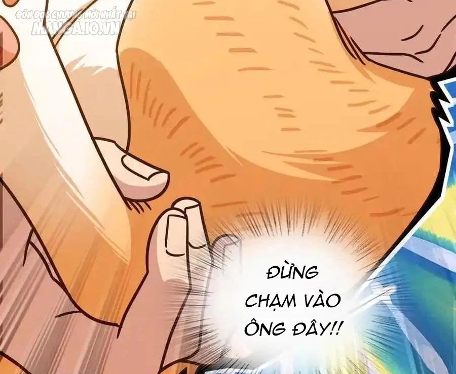 Bà Xã Nhà Tôi Đến Từ Ngàn Năm Trước Chapter 284 - Trang 2