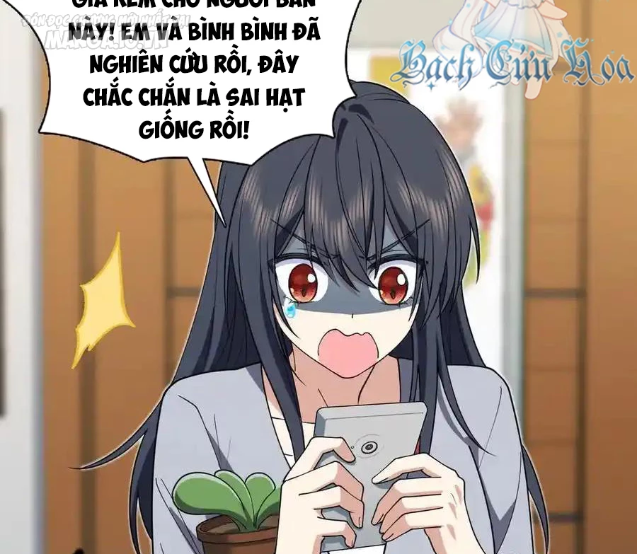 Bà Xã Nhà Tôi Đến Từ Ngàn Năm Trước Chapter 285 - Trang 2