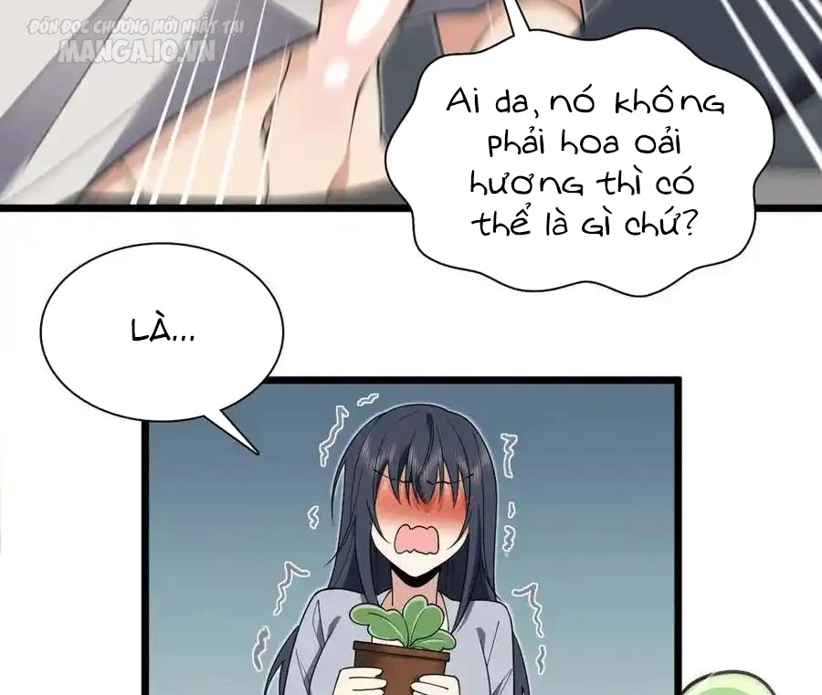 Bà Xã Nhà Tôi Đến Từ Ngàn Năm Trước Chapter 285 - Trang 2