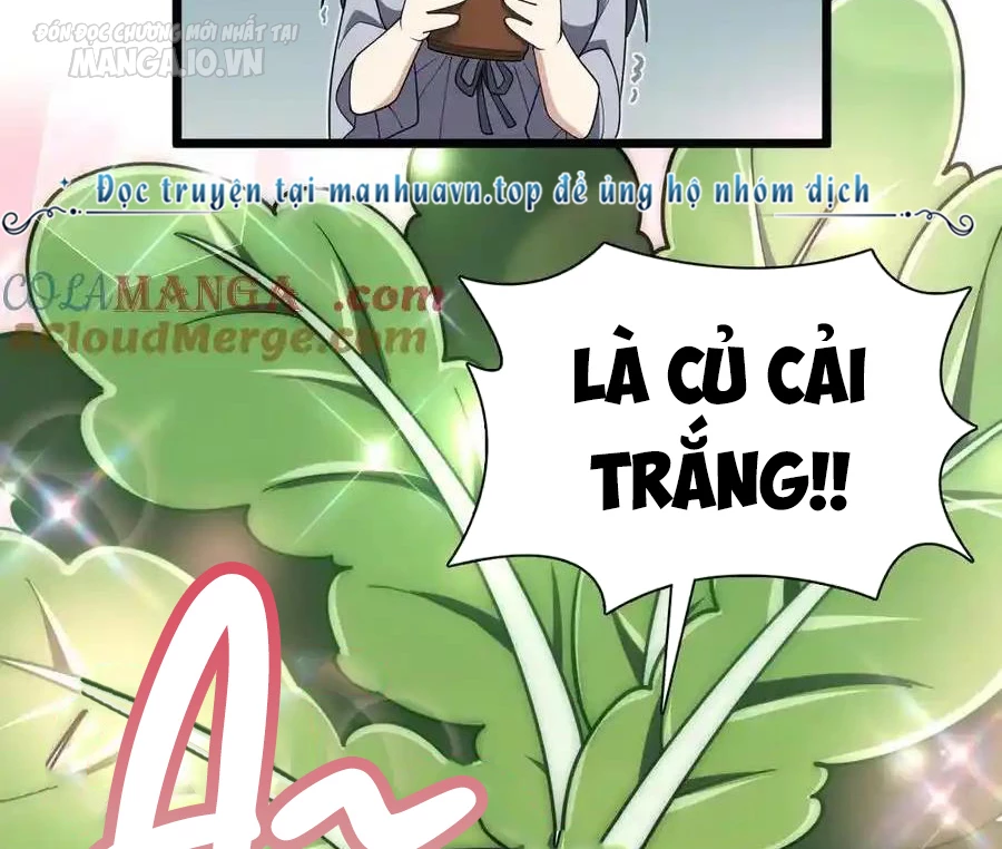 Bà Xã Nhà Tôi Đến Từ Ngàn Năm Trước Chapter 285 - Trang 2