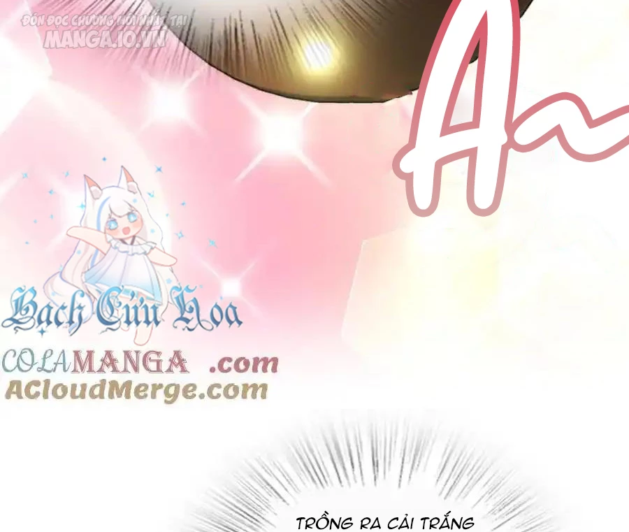 Bà Xã Nhà Tôi Đến Từ Ngàn Năm Trước Chapter 285 - Trang 2