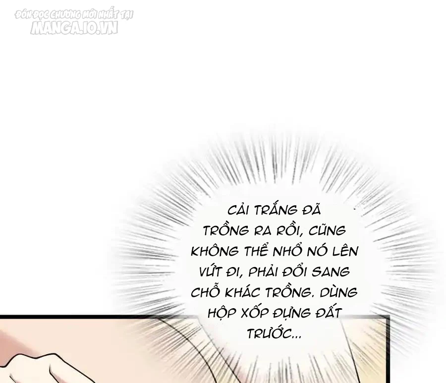 Bà Xã Nhà Tôi Đến Từ Ngàn Năm Trước Chapter 285 - Trang 2