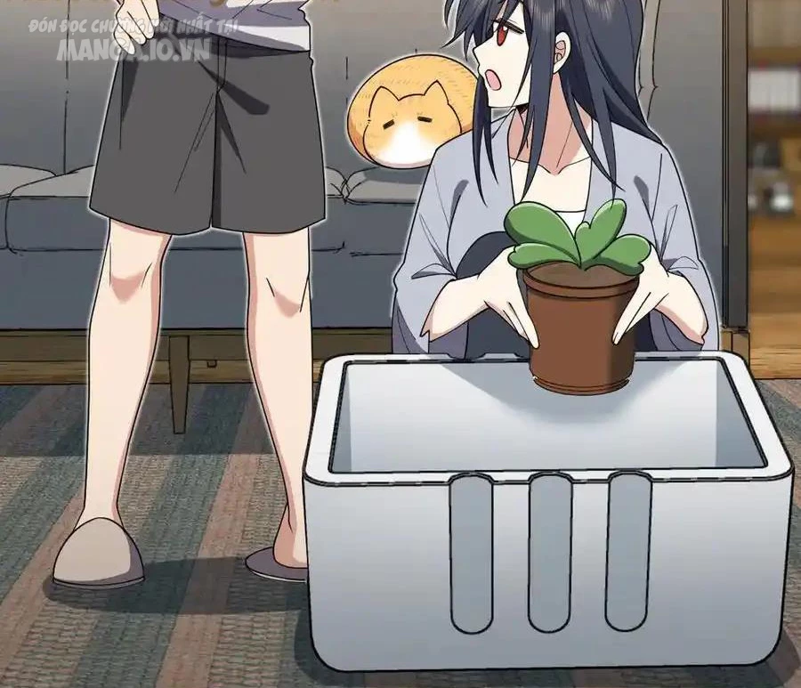 Bà Xã Nhà Tôi Đến Từ Ngàn Năm Trước Chapter 285 - Trang 2