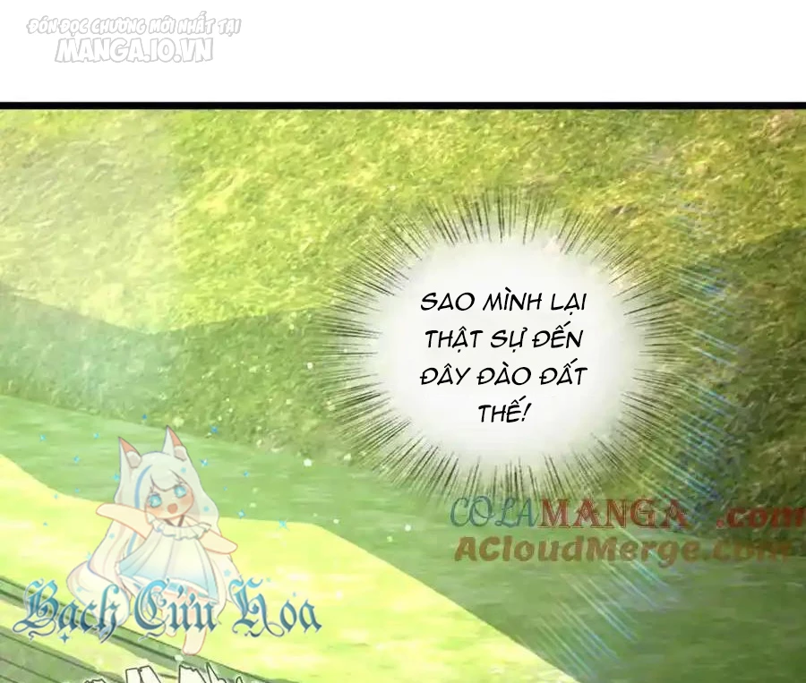 Bà Xã Nhà Tôi Đến Từ Ngàn Năm Trước Chapter 285 - Trang 2