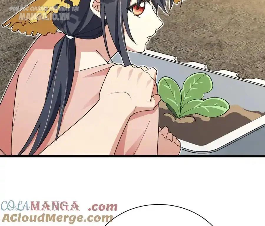 Bà Xã Nhà Tôi Đến Từ Ngàn Năm Trước Chapter 285 - Trang 2