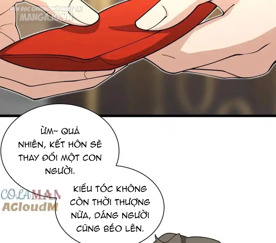 Bà Xã Nhà Tôi Đến Từ Ngàn Năm Trước Chapter 285 - Trang 2