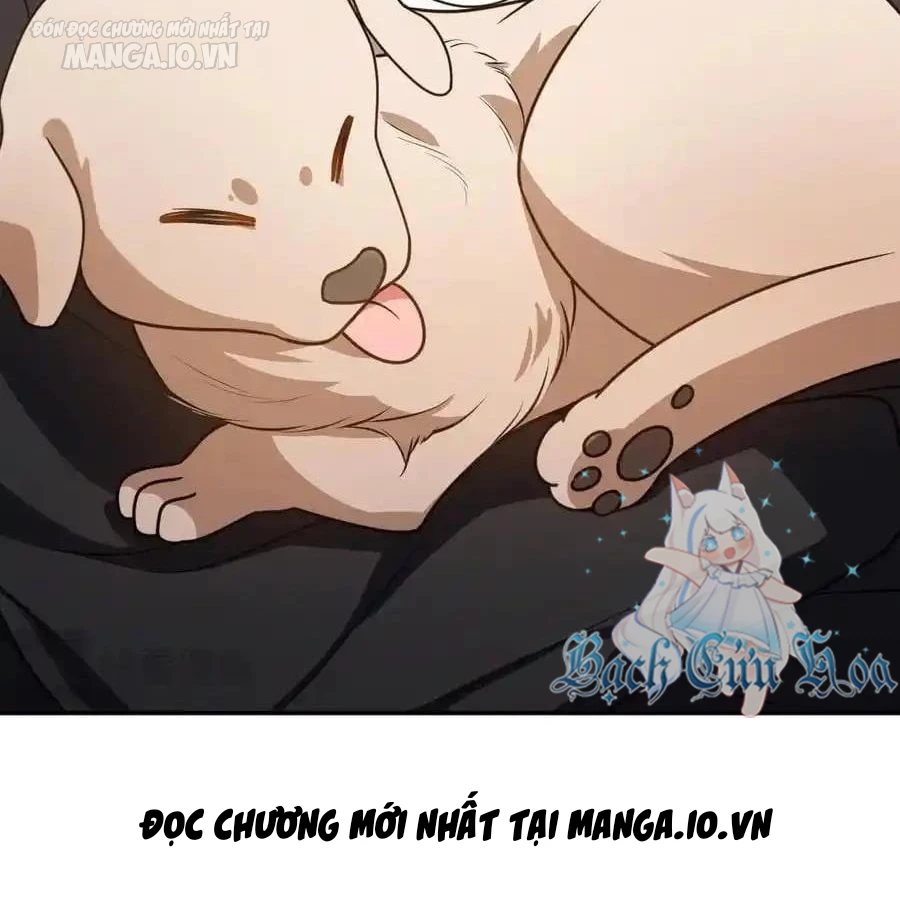 Bà Xã Nhà Tôi Đến Từ Ngàn Năm Trước Chapter 292 - Trang 2