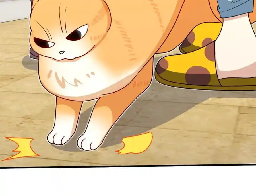 Bà Xã Nhà Tôi Đến Từ Ngàn Năm Trước Chapter 294 - Trang 2