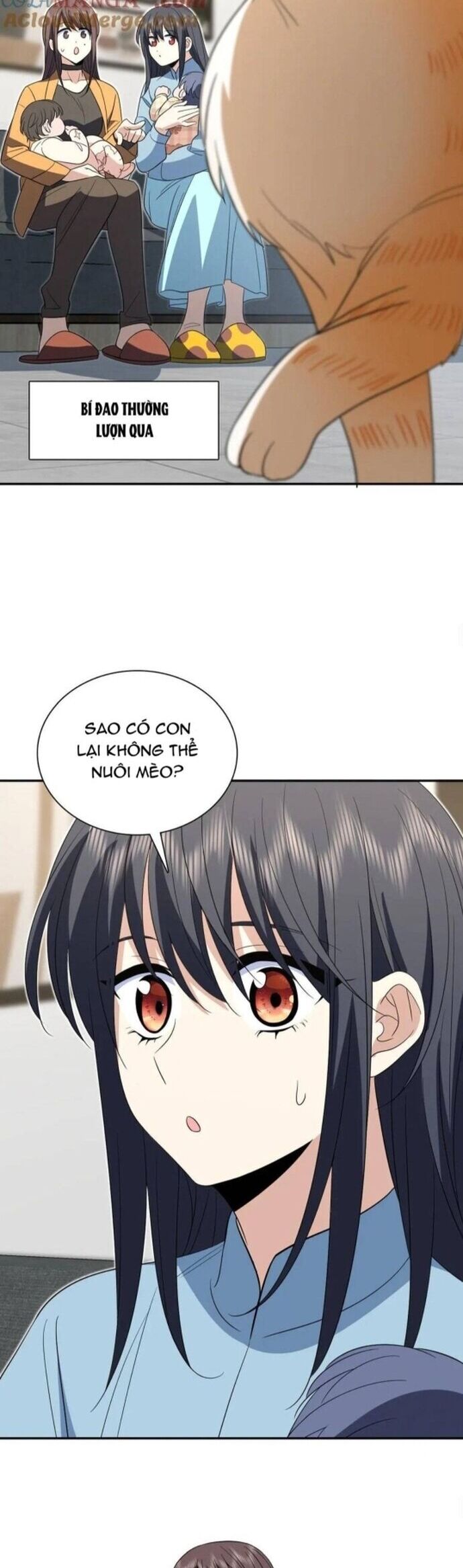 Bà Xã Nhà Tôi Đến Từ Ngàn Năm Trước Chapter 343 - Trang 2