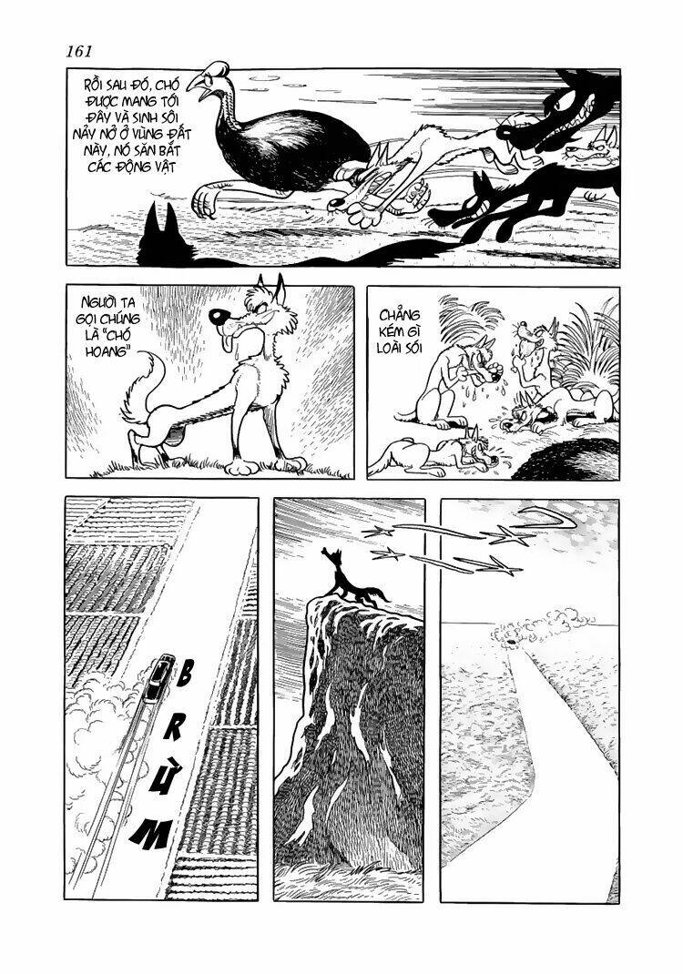 Bác Sĩ Quái Dị Chapter 47 - Trang 2