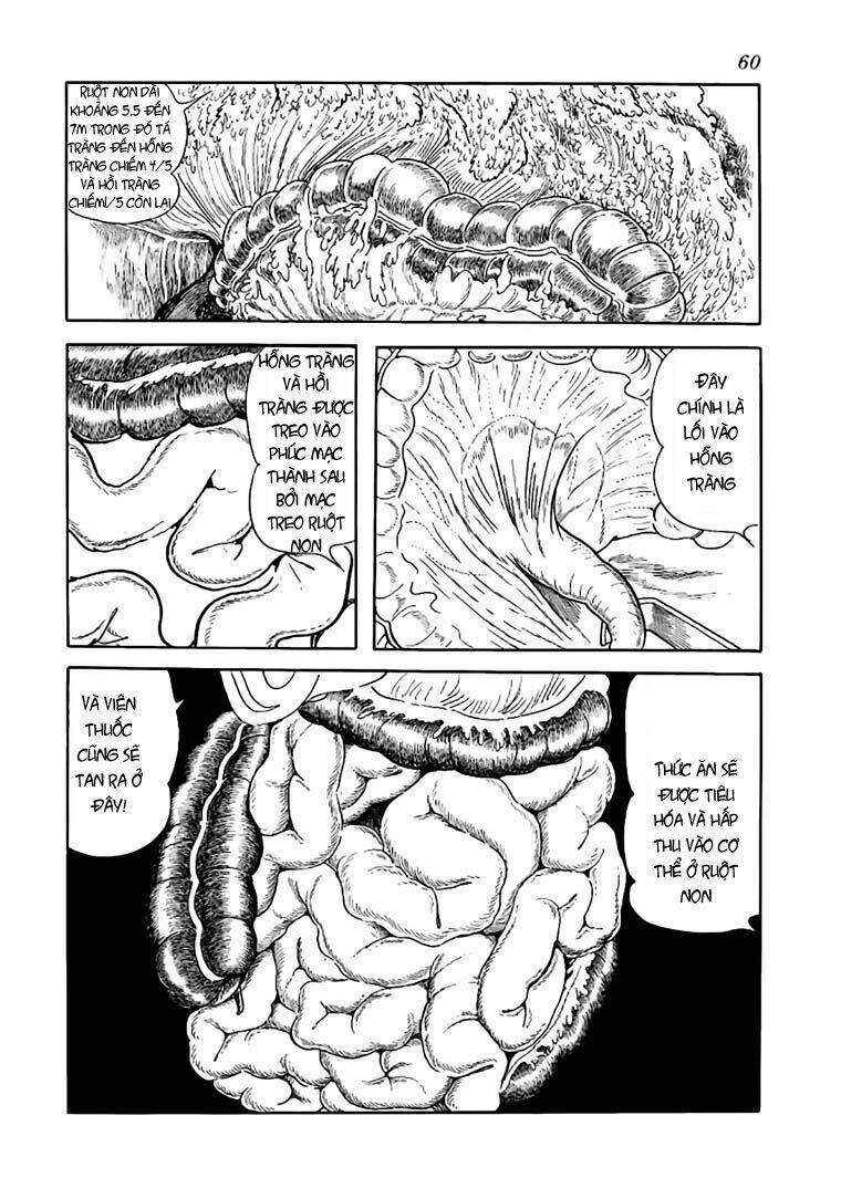 Bác Sĩ Quái Dị Chapter 52 - Trang 2