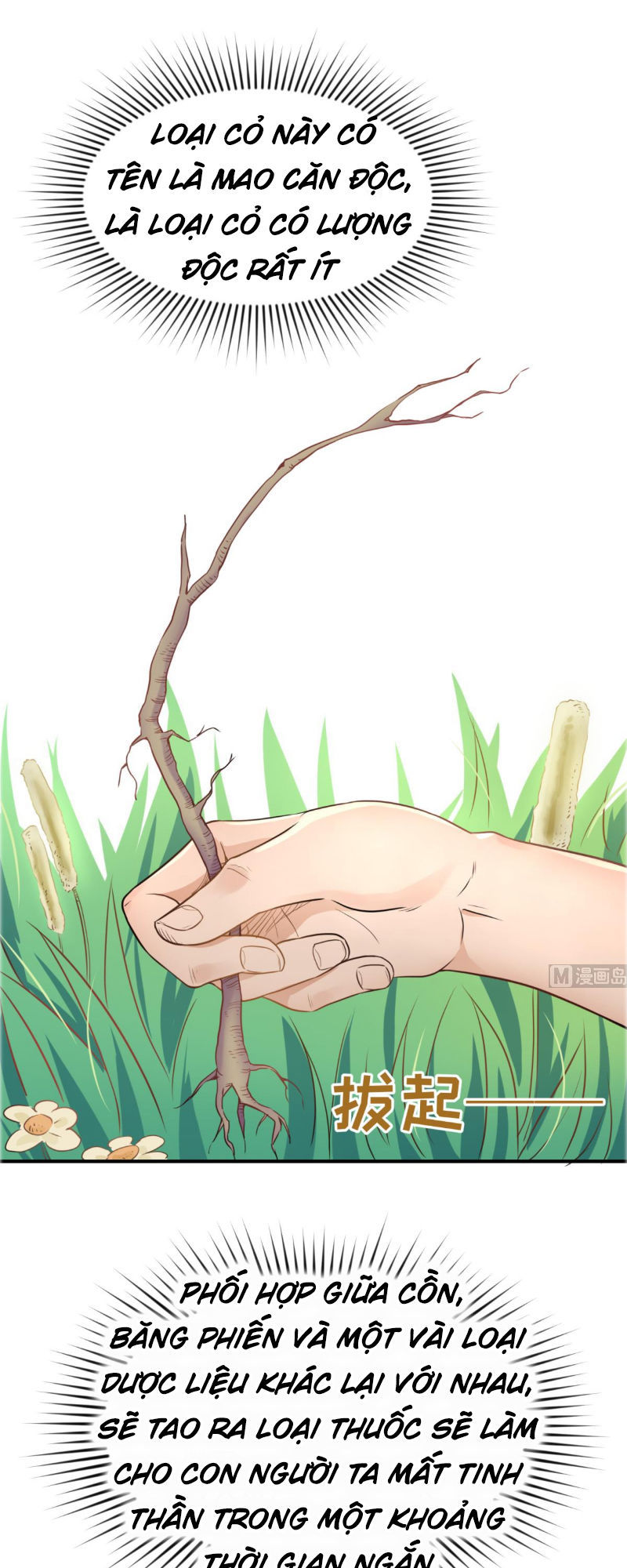 Bác Sĩ Riêng Của Nữ Thần Chapter 4 - Trang 2