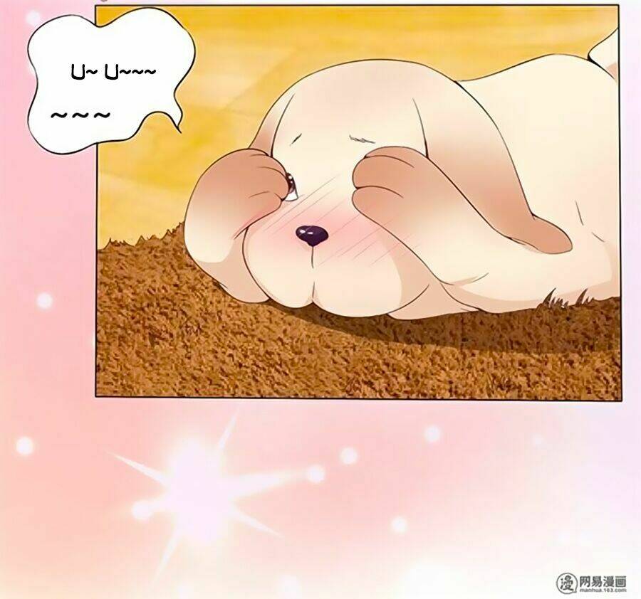 Bác Sĩ Sở Cũng Muốn Yêu Chapter 161 - Trang 2