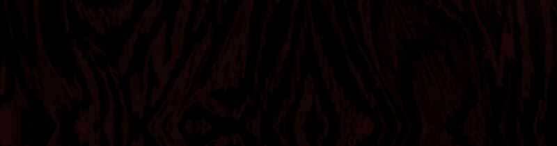 Bác Sĩ Thăng Cấp Chapter 0 - Trang 2