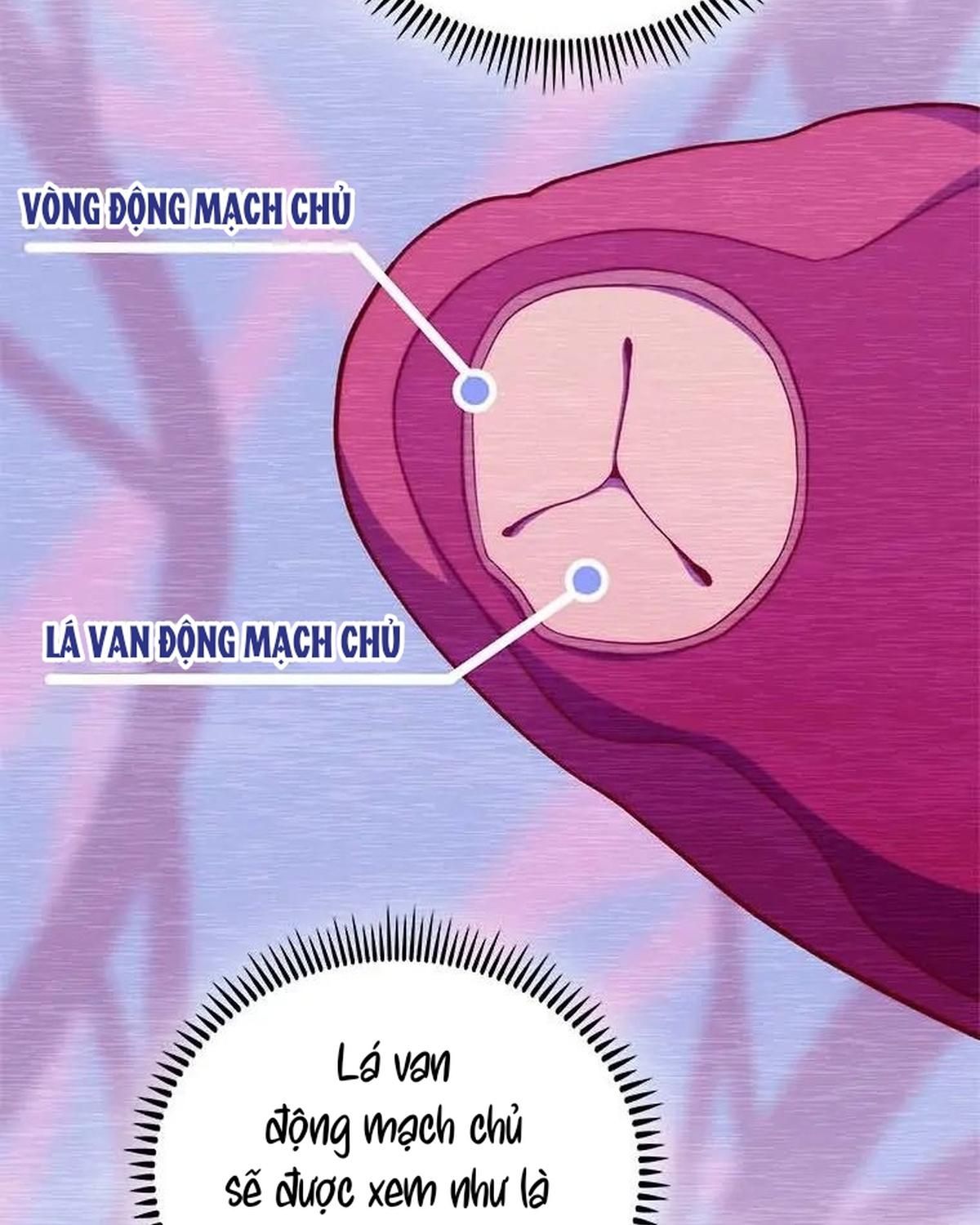 Bác Sĩ Thăng Cấp Chapter 75 - Trang 2