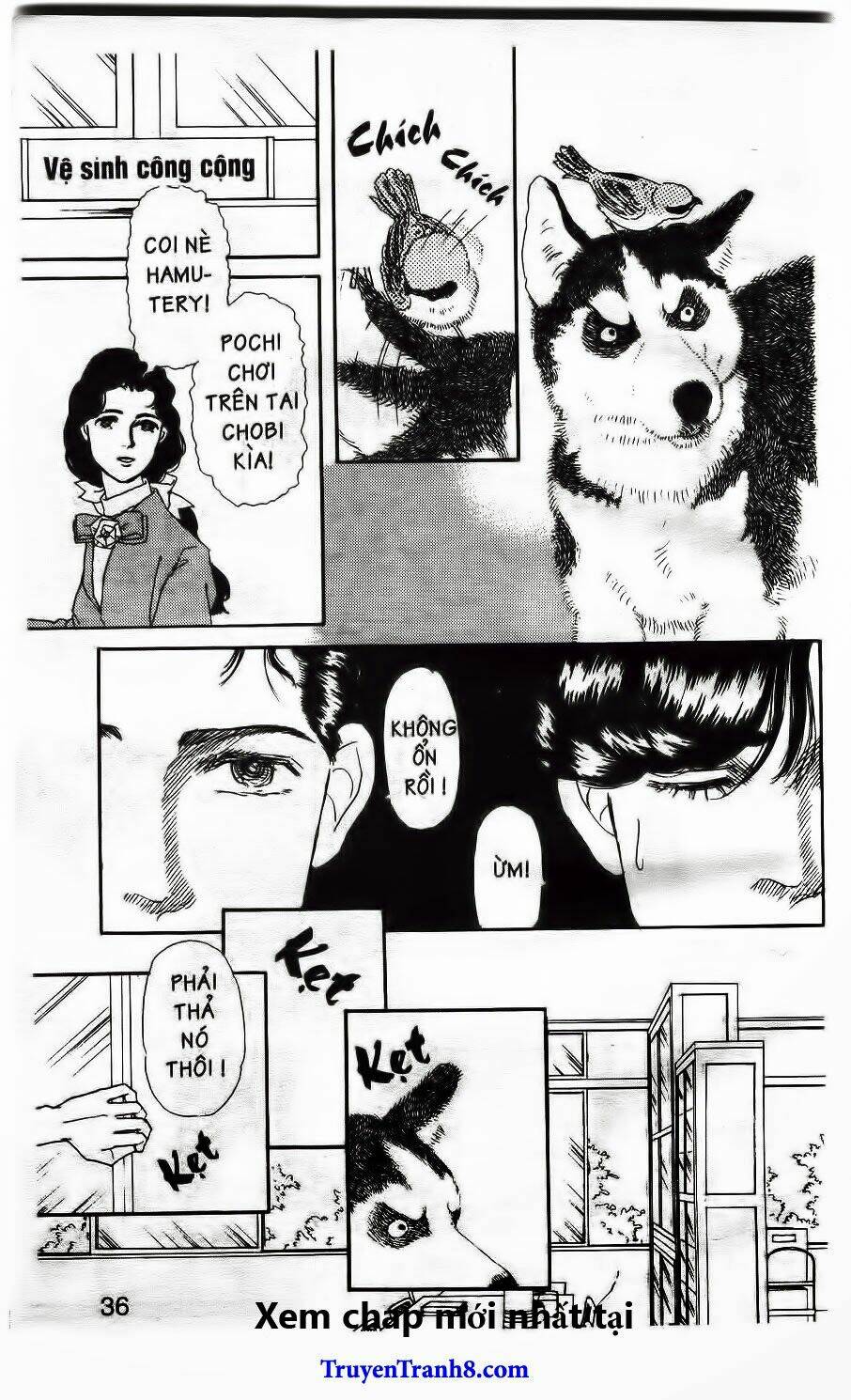 Bác Sĩ Thú Y Chapter 13 - Trang 2