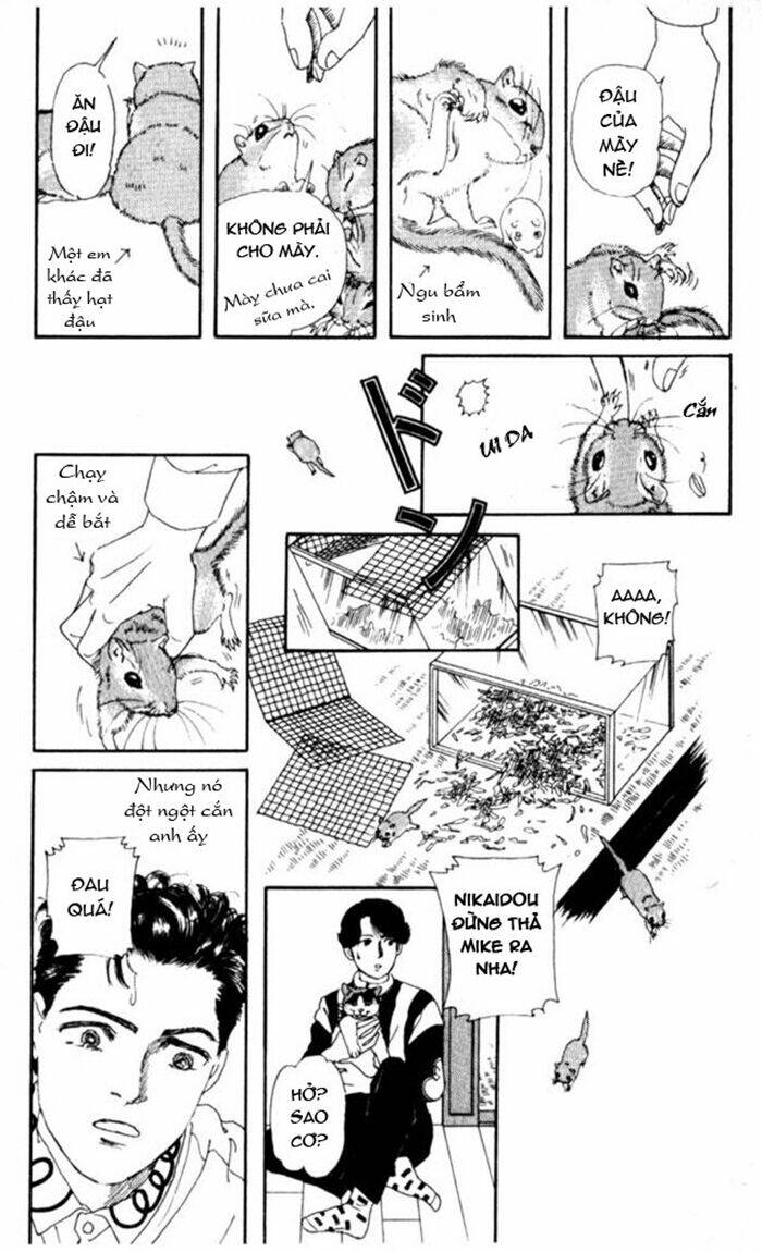 Bác Sĩ Thú Y Chapter 4 - Trang 2