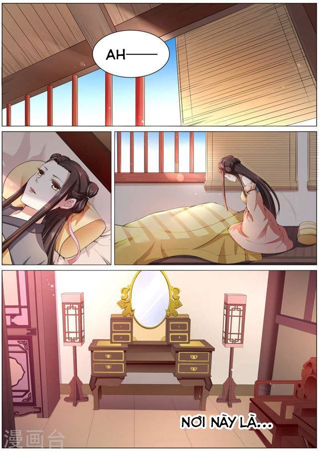 Bạch Chỉ Y Tiên Chapter 1 - Trang 2