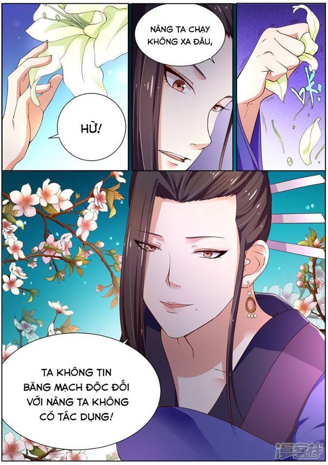 Bạch Chỉ Y Tiên Chapter 2 - Trang 2