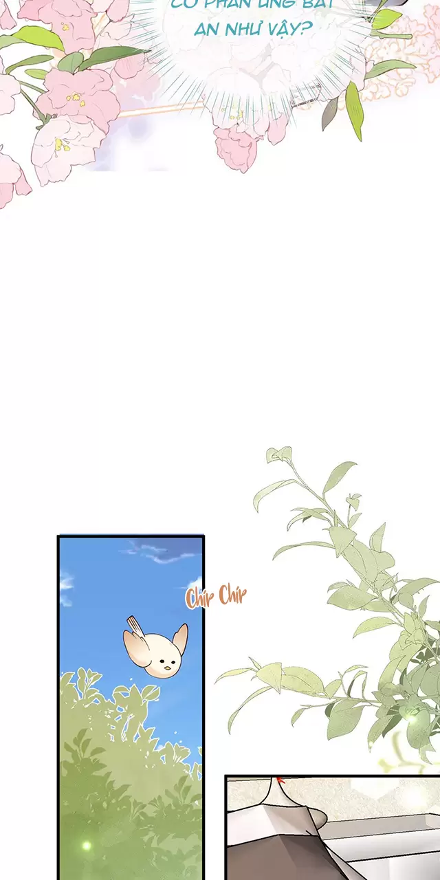 Bạch Nguyệt Quang Luôn Muốn Độc Chiếm Tôi Chapter 113 - Trang 2