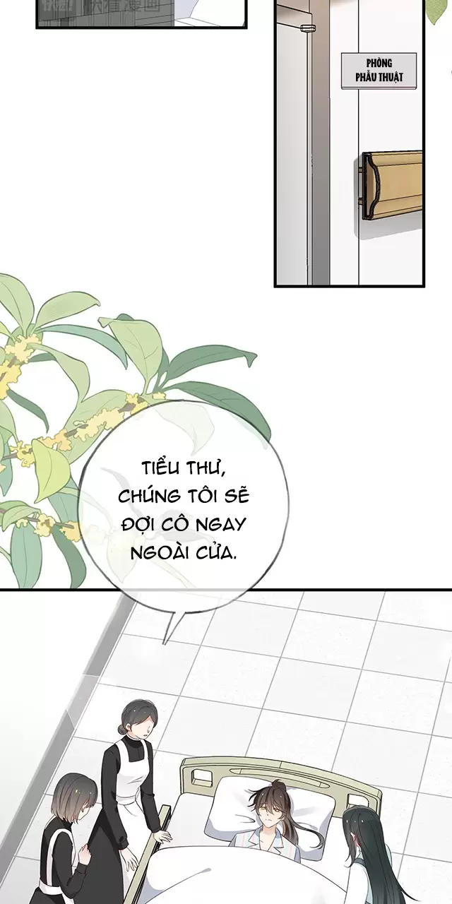 Bạch Nguyệt Quang Luôn Muốn Độc Chiếm Tôi Chapter 115 - Trang 2