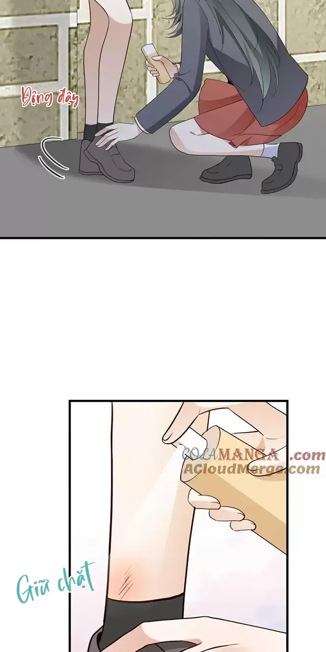 Bạch Nguyệt Quang Luôn Muốn Độc Chiếm Tôi Chapter 84 - Trang 2