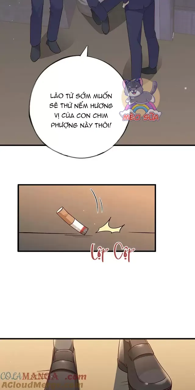 Bạch Nguyệt Quang Luôn Muốn Độc Chiếm Tôi Chapter 89 - Trang 2