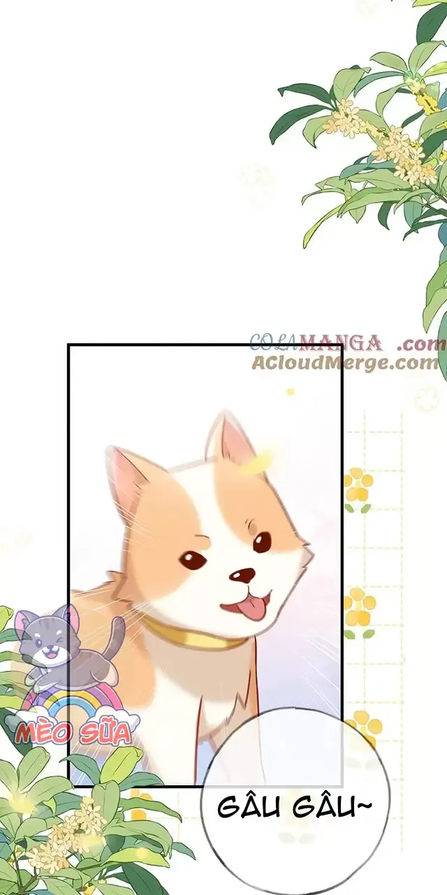 Bạch Nguyệt Quang Luôn Muốn Độc Chiếm Tôi Chapter 98 - Trang 2