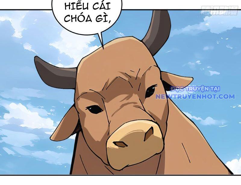 Bách Thê Phổ: Thánh Nữ Đều Gọi Ta Là Phu Quân Chapter 1 - Trang 2